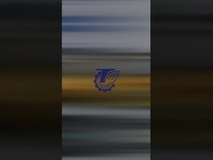 Η βαλβίδα ελέγχου Komatsu PC1250-8 (αριθμός μέρους: 709-15-94000)